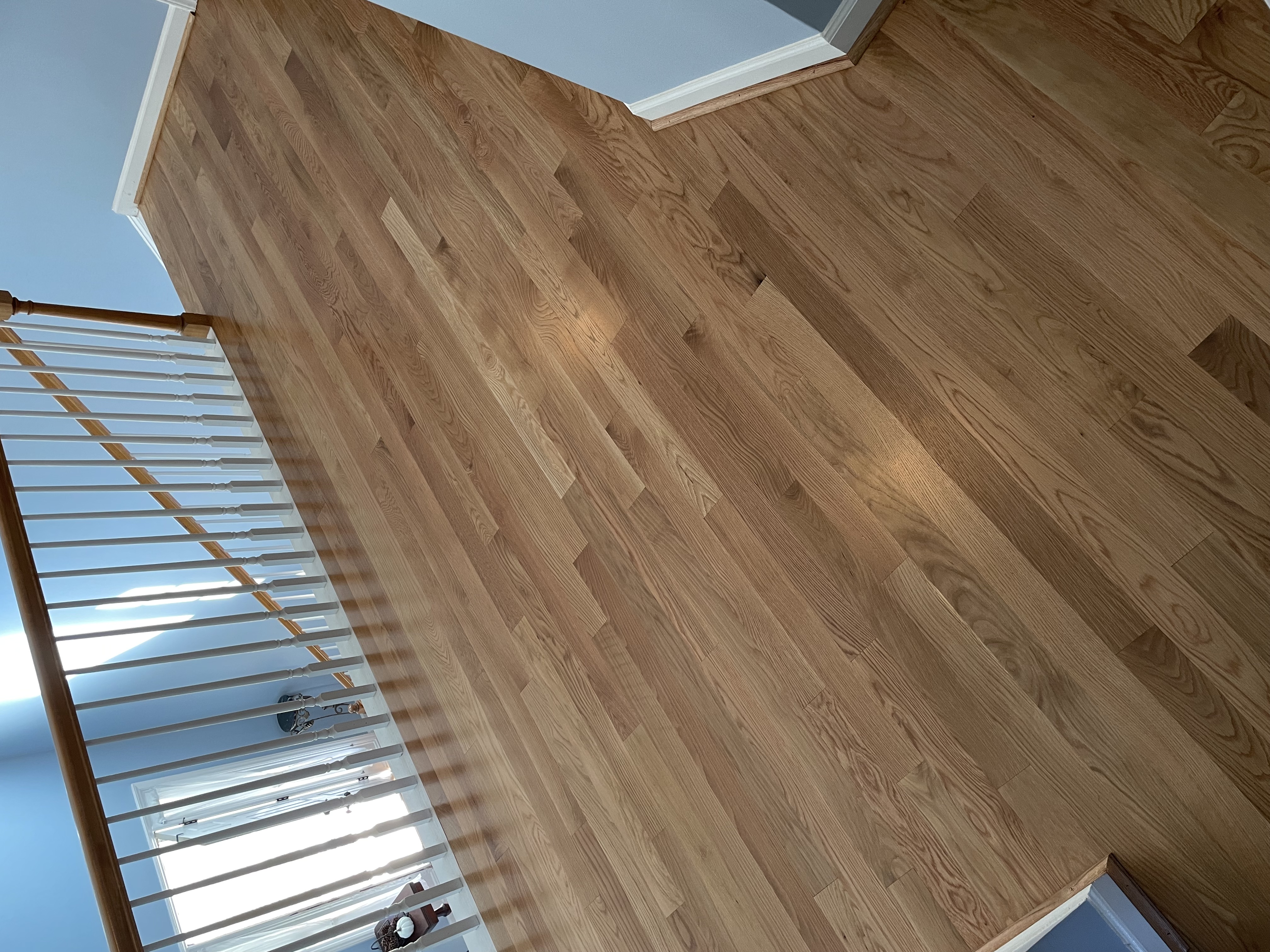 Refinished hardwood floor with a oil-based finish